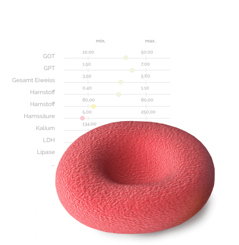 План харчування Metabolic Balance